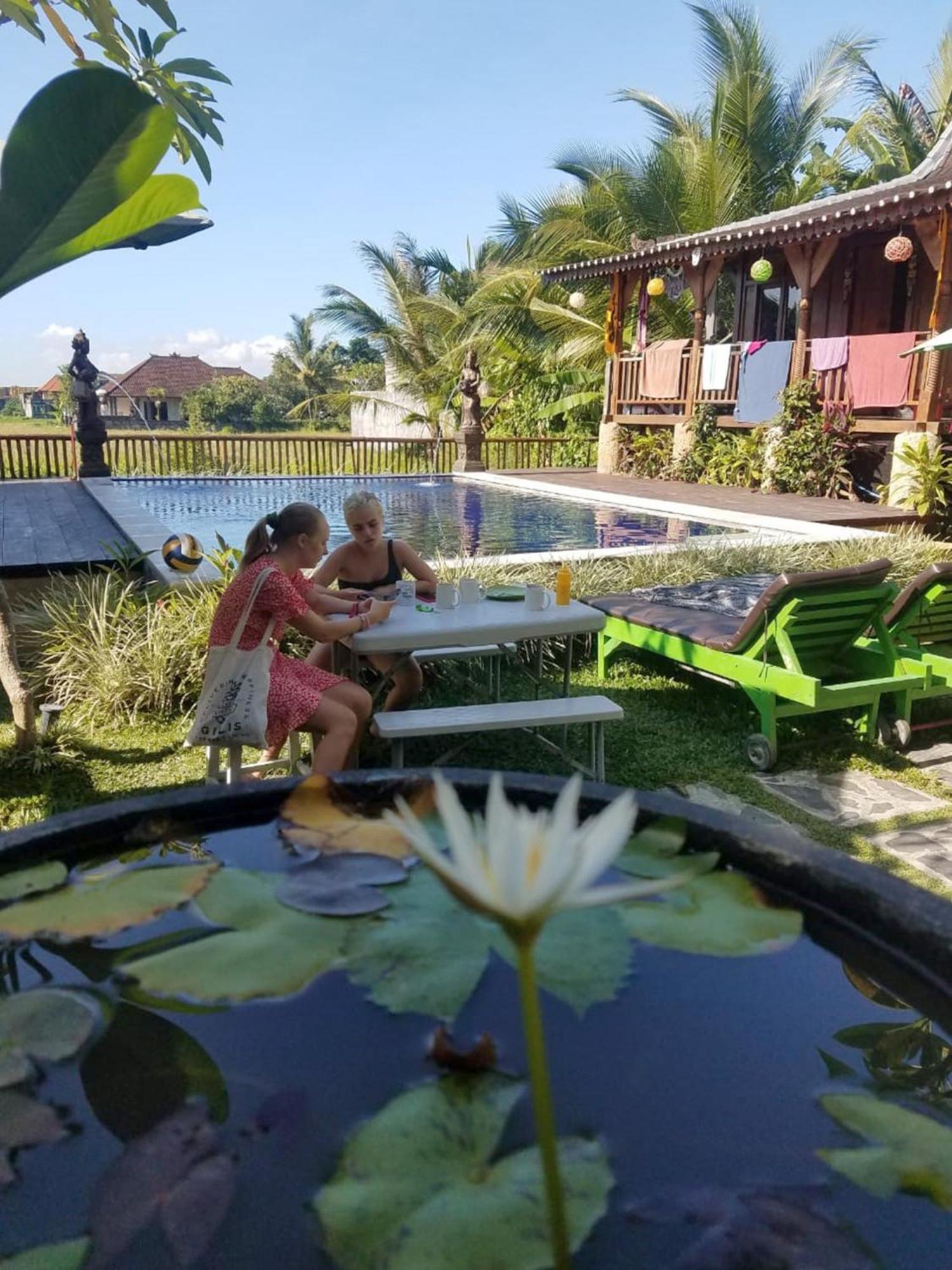 Green Paddy Hostel & Villa Убуд Екстер'єр фото