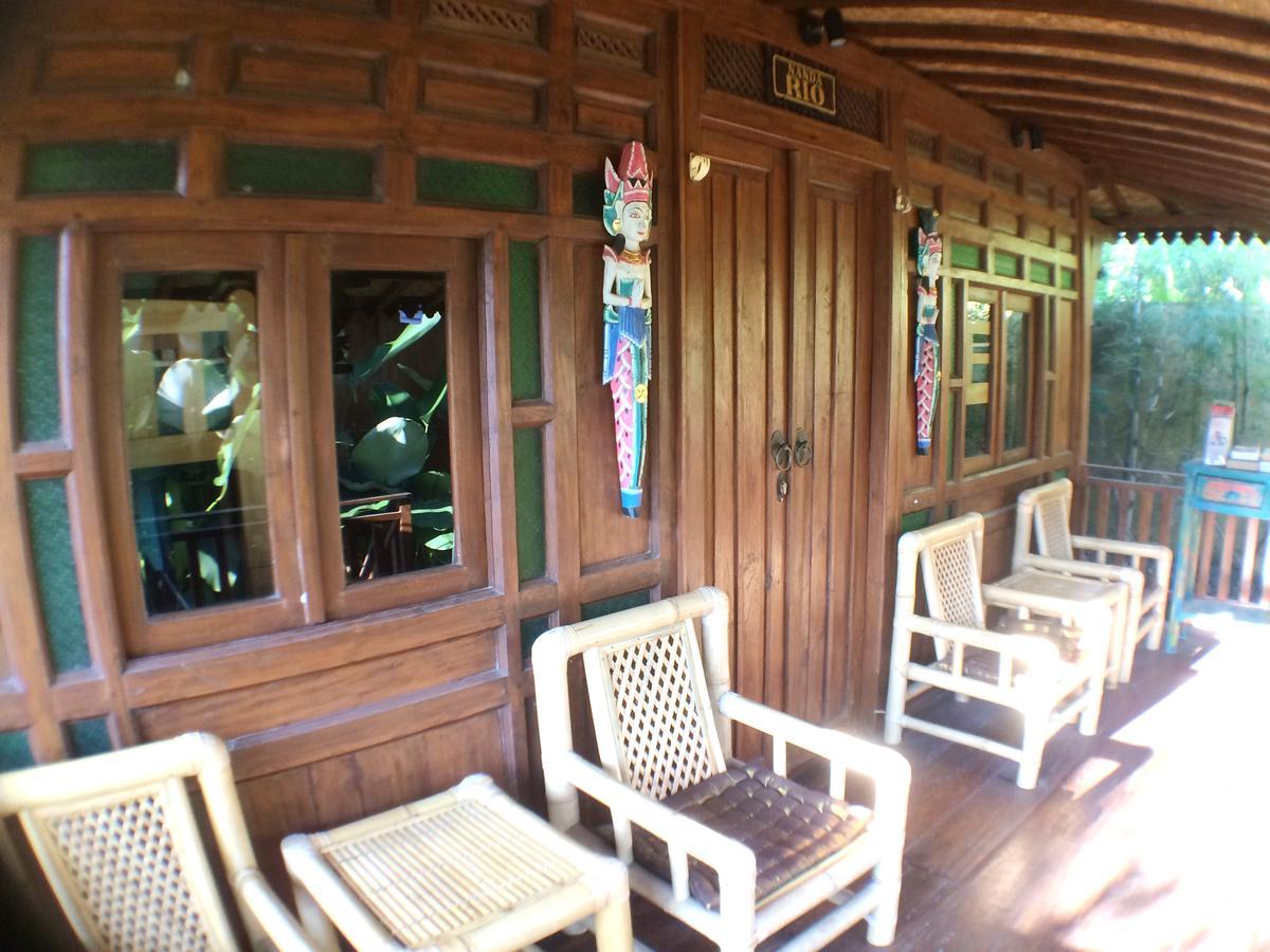Green Paddy Hostel & Villa Убуд Екстер'єр фото